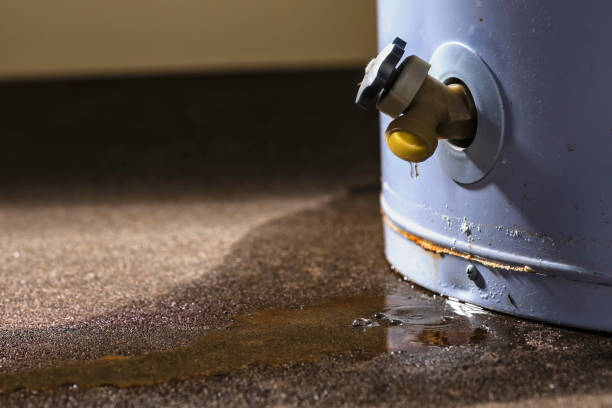Best Ceiling water damage repair  in West Dundee, IL