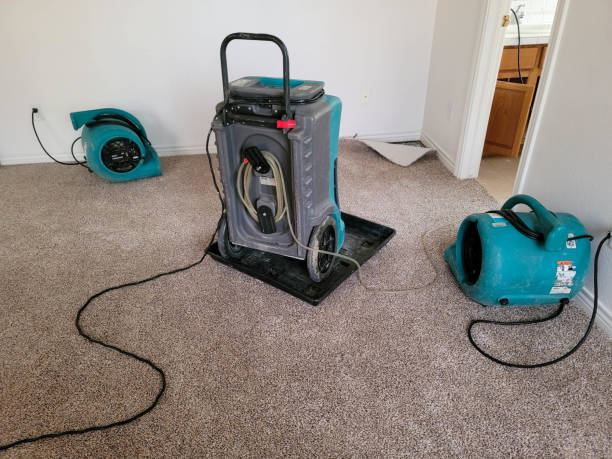 Best Water damage contractors near me  in West Dundee, IL