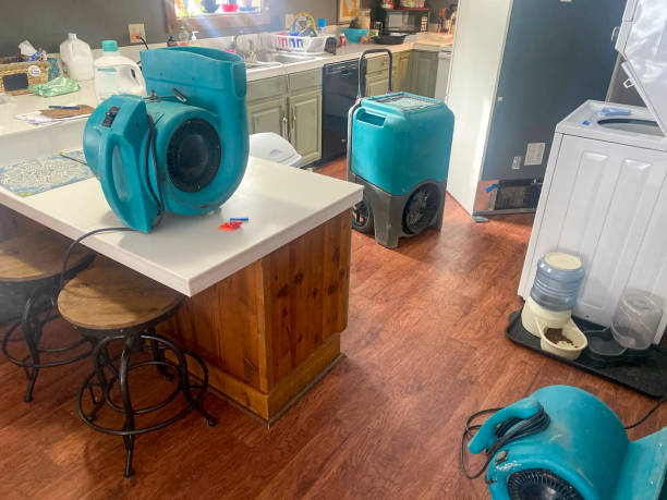 Best Commercial water damage restoration  in West Dundee, IL
