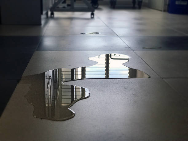 Best Carpet water damage restoration  in West Dundee, IL