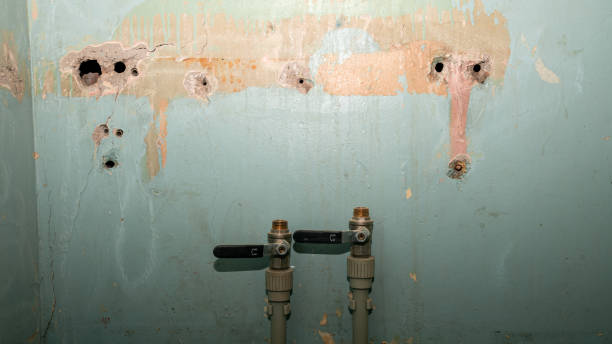 Best Flood restoration services  in West Dundee, IL